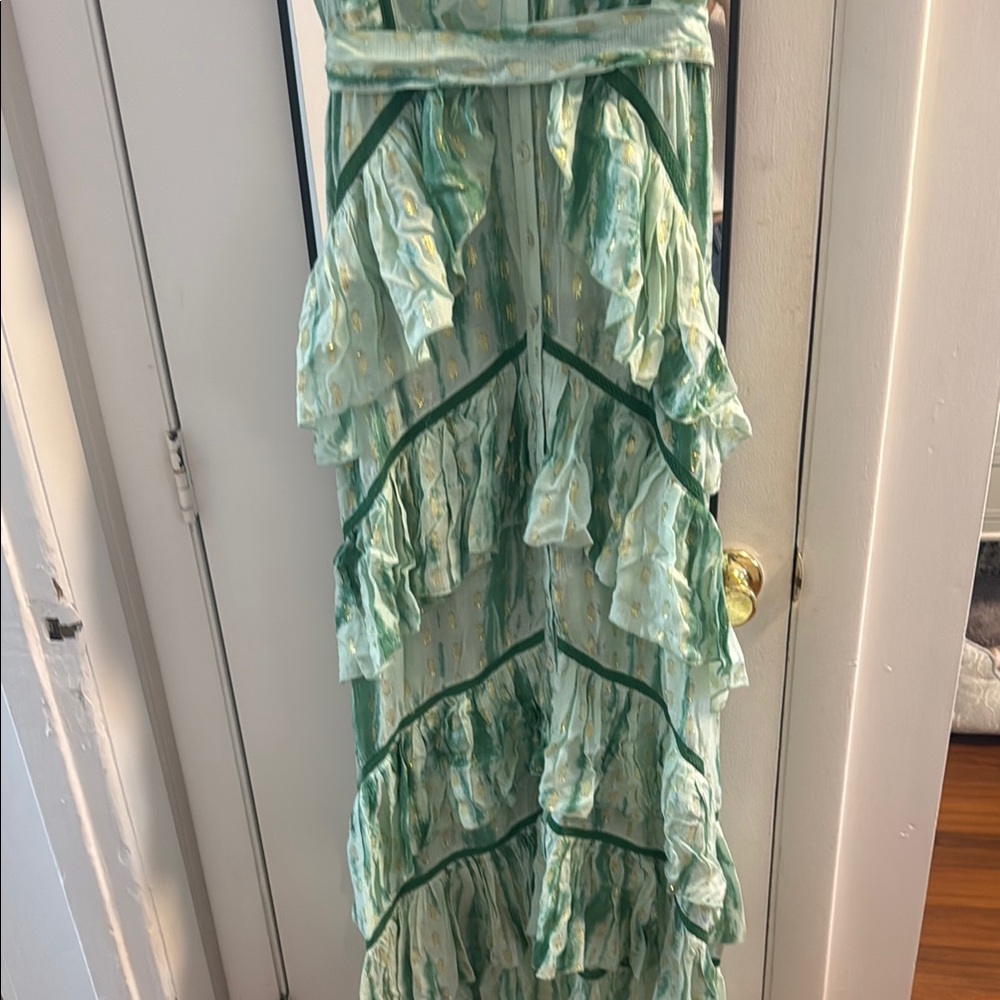 Alexis Green Ruffled Tiered Maxi Dress - Picture 3 of 8